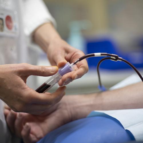 Centre national de référence pour les groupes sanguins Établissement